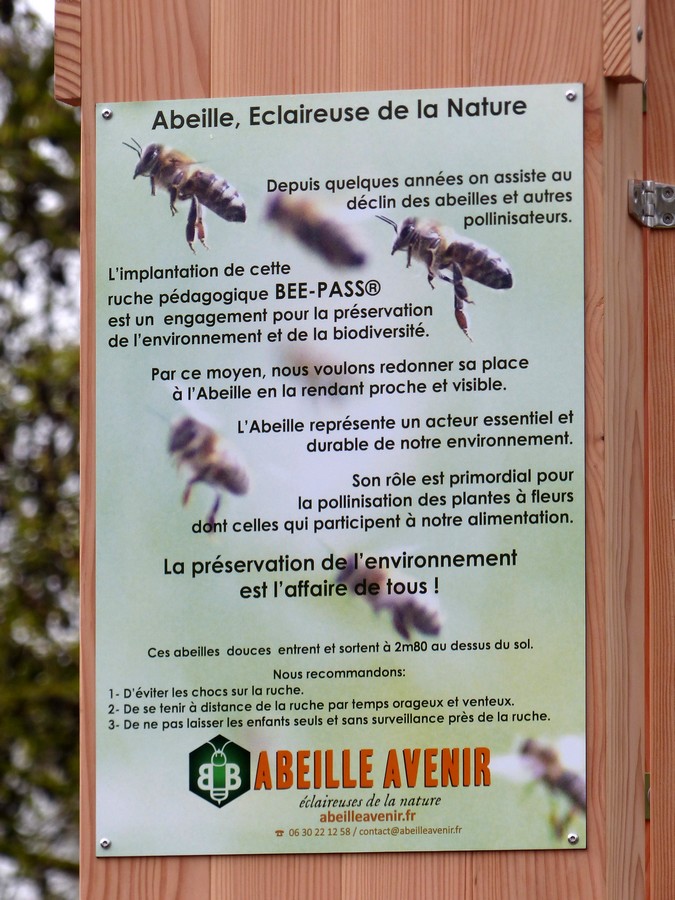 Au cours de la balade urbaine