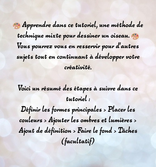 Dessin et peinture - vidéo 3288 : Comment apprendre à dessiner un oiseau coloré ? - technique mixte.