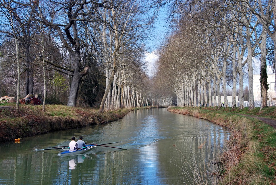 J12 - Canal du Midi - Rameurs près de Ramonville St Agne