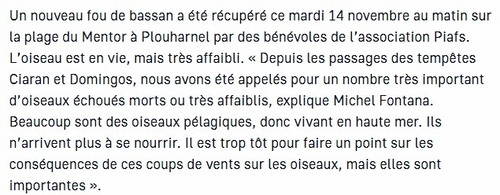 Rando à Plouharnel le 19 11 2023 ,  9 randonneurs ont effectués 14km .