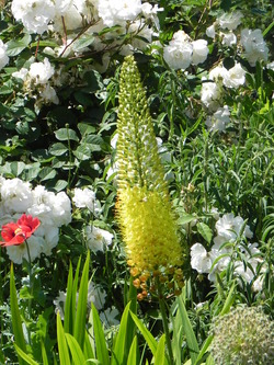 Parc de Vincennes 