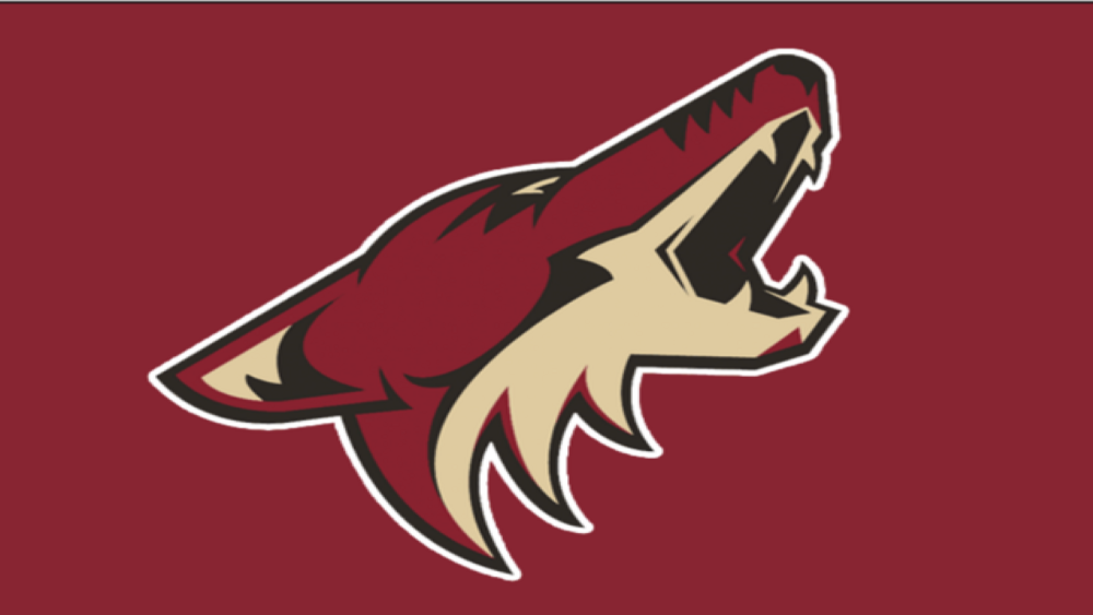 Arizona Coyotes - a team for real hockey fans