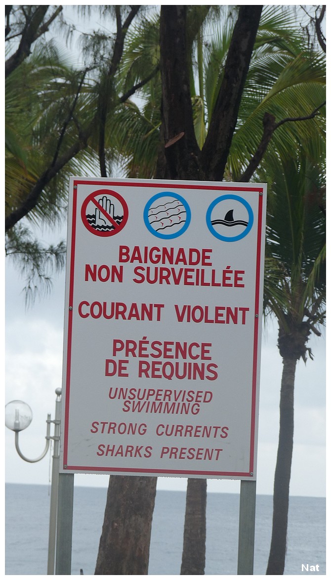 Voyage à la Réunion