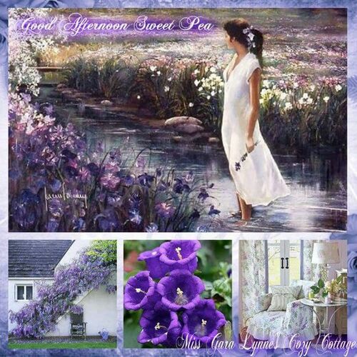 collages violets
