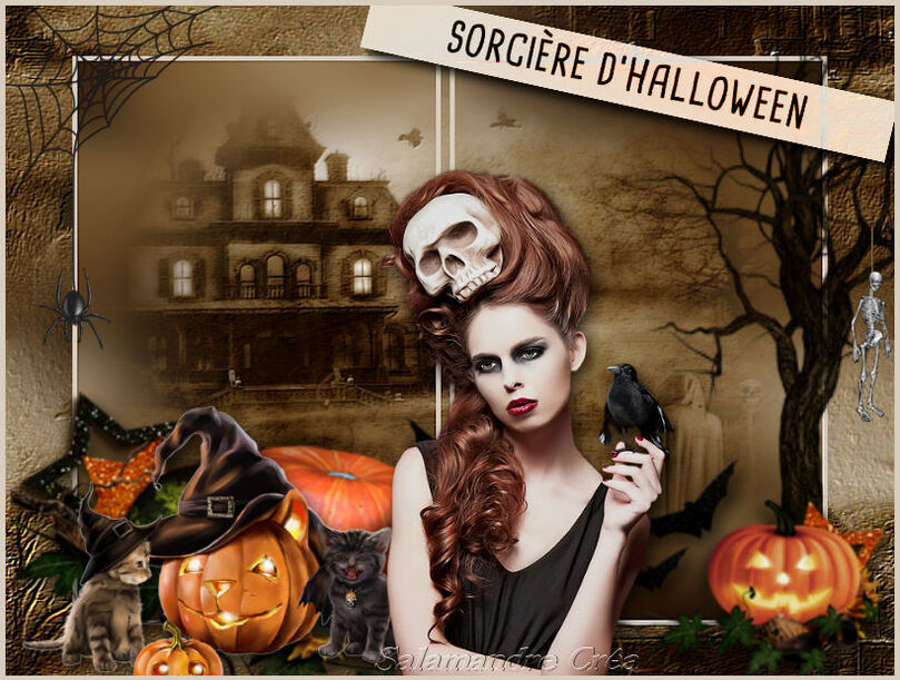 Sorcière d'Halloween