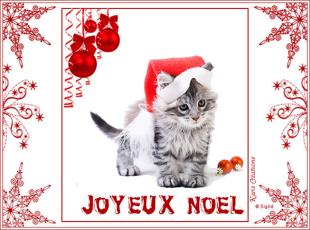 Joyeux Noel "Animaux" 5