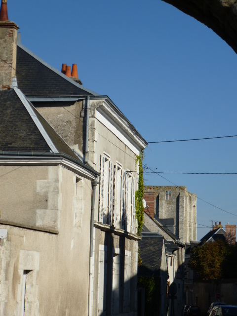 COULEURS D'AUTOMNE A BEAUGENCY