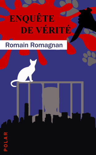 Enquête de vérité (Romain Romagnan)