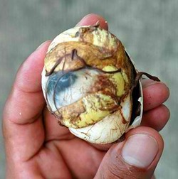 Le balut!