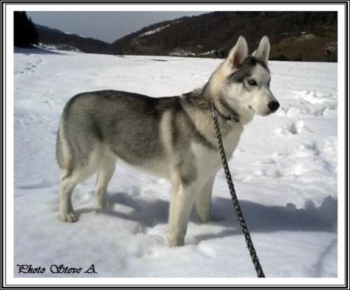 Ilouky (5 mois)