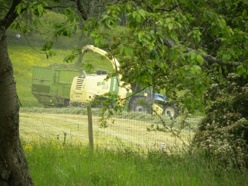 Travaux des champs