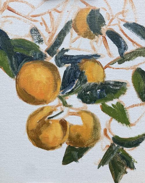 Dessin et peinture - vidéo 3946 : Comment peindre des agrumes (oranges) ? - huile ou acrylique.