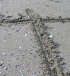 Ligne dans le sable