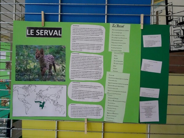 Au Lycée Désiré Nisard, les élèves et leurs professeurs ont présenté une très intéressante exposition sur la biodiversité