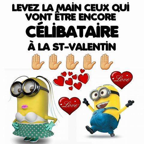 LES  MINIONS  et  AUTRES  6