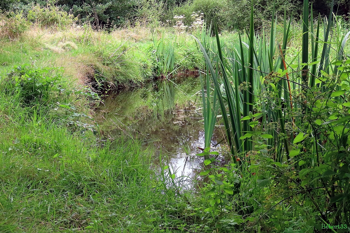 balade  à Bubry  (56)