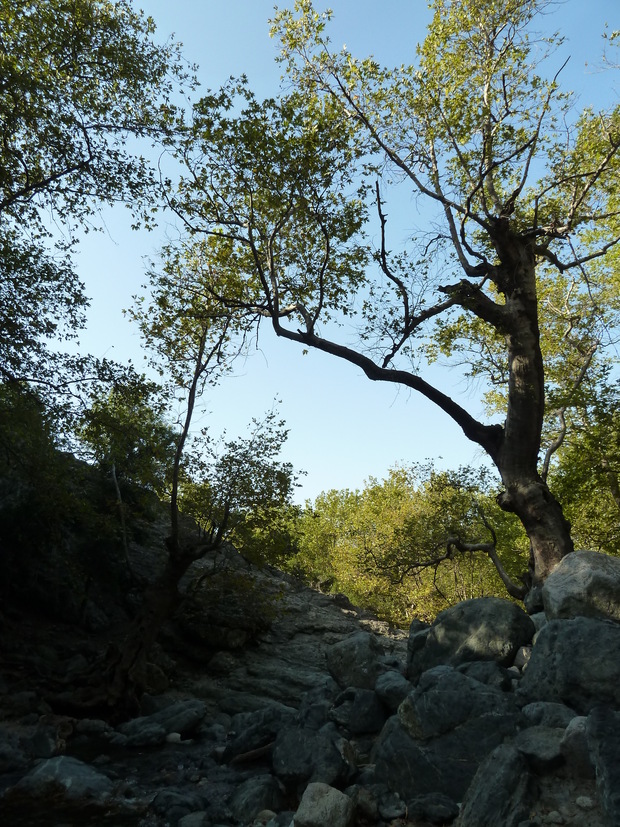Cascades de Samothrace * Οι καταρράκτες της Σαμοθράκης