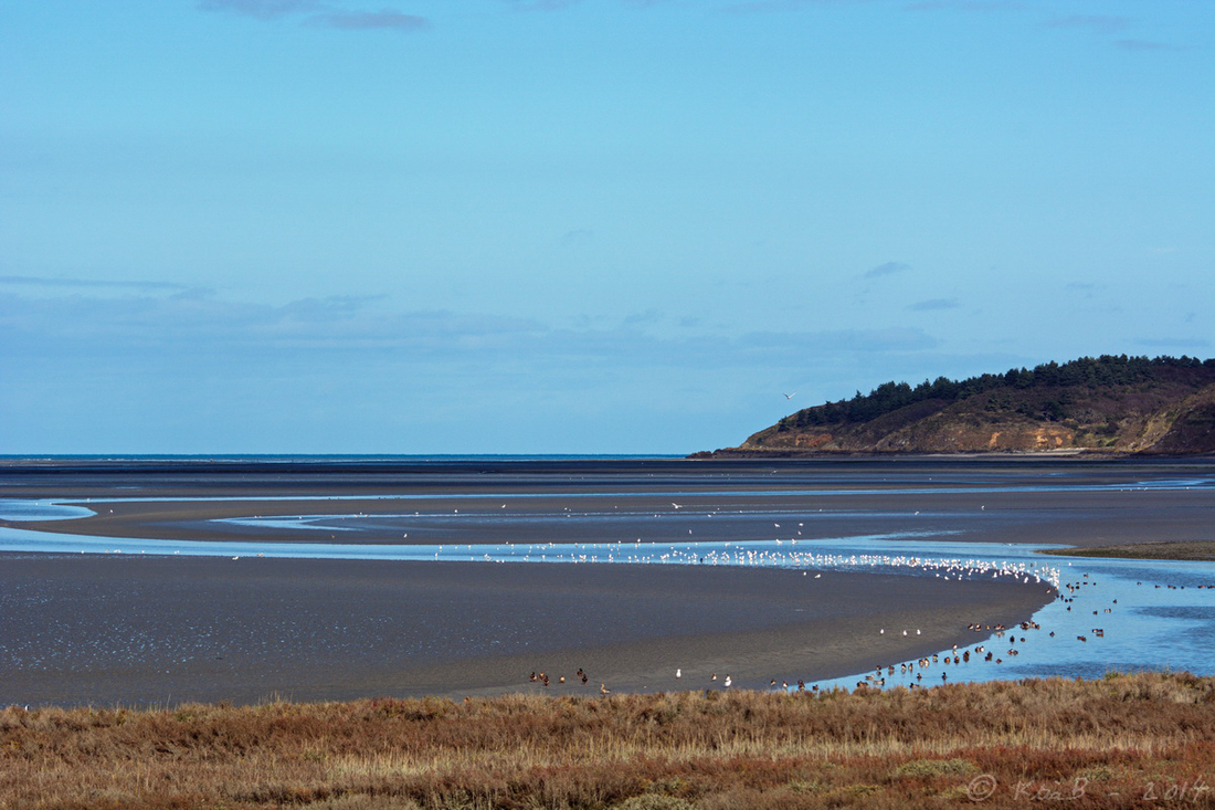 Baie de St-Brieuc