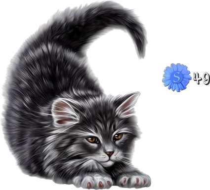 Mes tubes Animaux.. Chat