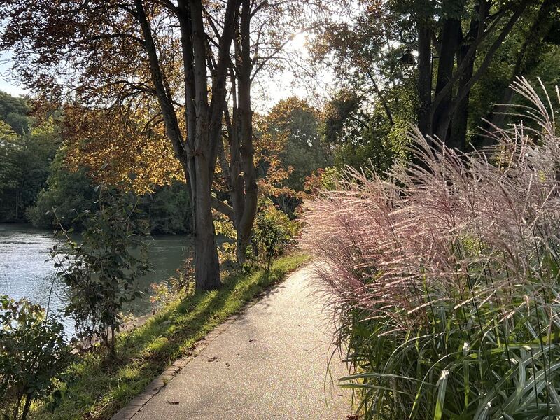 Bonne fin de semaine à tous - et un tour au bord de marne - 