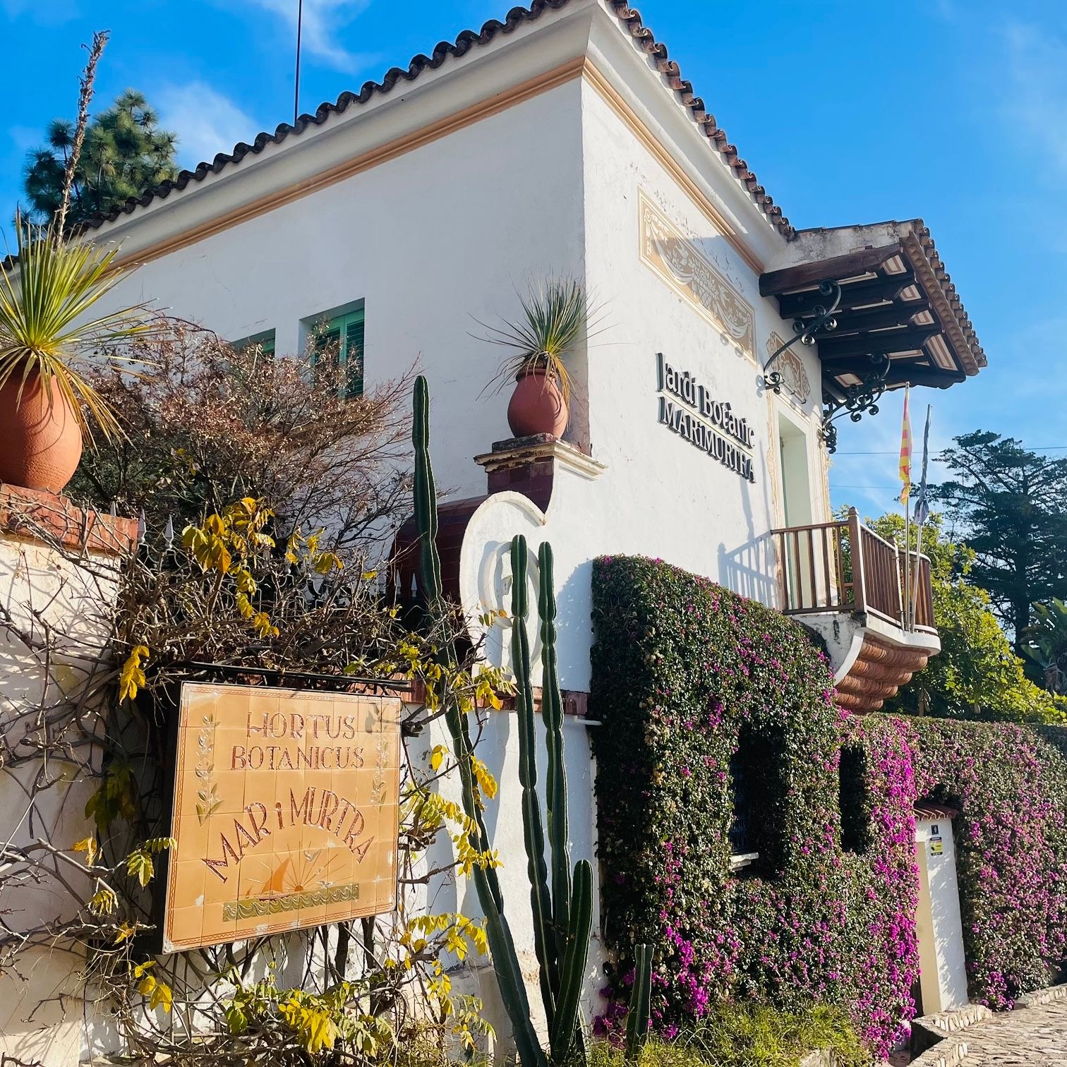 Aucune description de photo disponible.