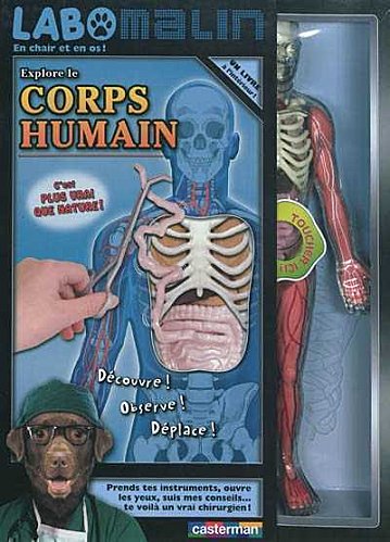Planche anatomique du squelette humain – En Chair et en Os
