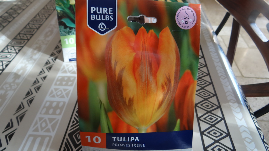 Mes nouvelles tulipes pour 2022