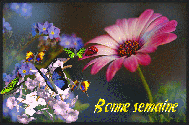 Bonjour tout le monde - Page 3 OPejzYEA6Sul6-cUeGOvMYJG42I@850x566