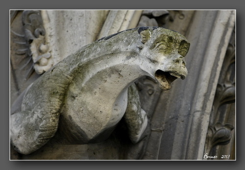 Les Gargouilles de Notre-Dame de Paris