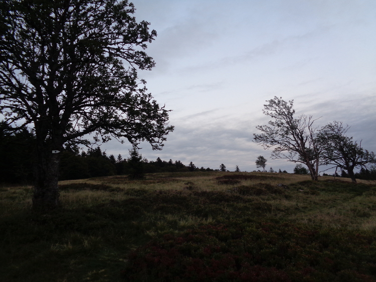 Vosges- Pourri Faing