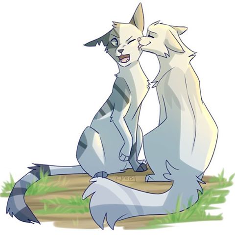 Aile Blanche - Whitewing - Warrior Cats Project