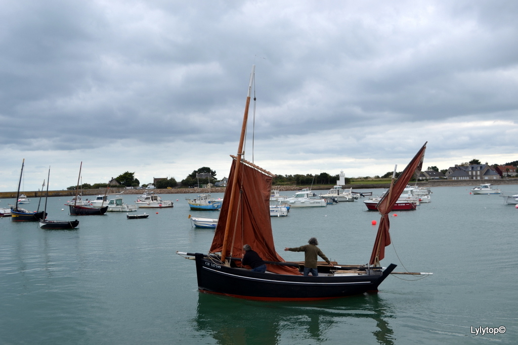 De Barfleur à Saint Vaast La Hougue