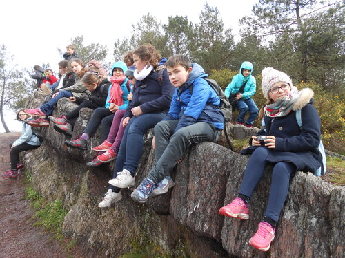 sortie Brocéliande groupe de Florentin matin