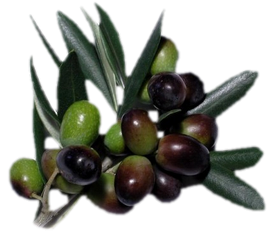 Tube olives