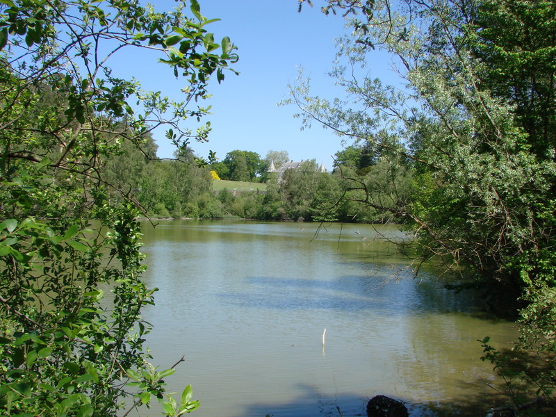 Le château de la Hulpe (3)