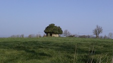 habitat Quercynois typique