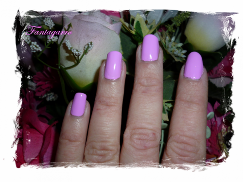 Swatch Kleancolor - Pastel Purple