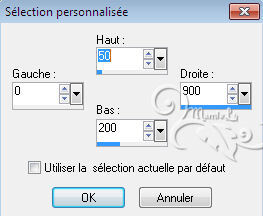 10- Outil selection