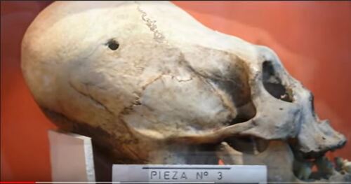 Les crânes non humains de Paracas