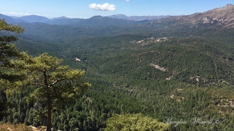 Corse : Aiguilles de Bavella 2/2