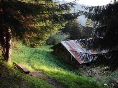 oTvcR0edxC6Qp33wVpRtx50fVsA@400x300 Avoriaz dans Sommets de la Haute Savoie