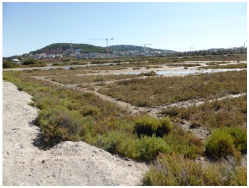 - Sète 8 - Les salins de Villeroy  2  :  son récent passé - 