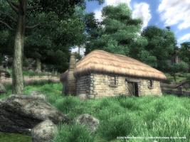 The Elder Scrolls IV : Oblivion 5 Oblivion