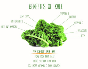 Les bienfaits du Kale