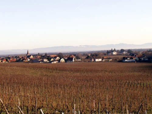 Sur la route des vins (67)