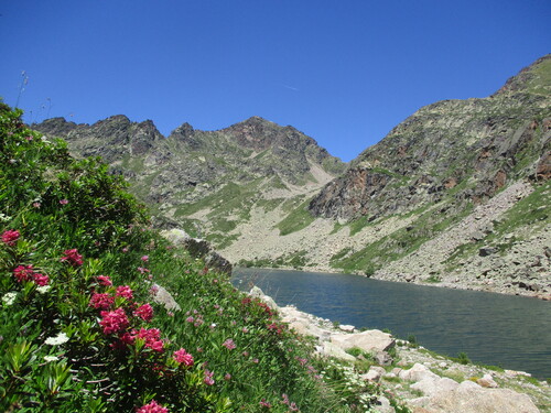 Bivouac (3 nuits) : des étangs et des fleurs depuis le vallon du Mourguillou (Merens) - 09