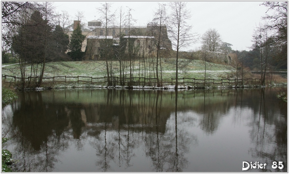 (85) Vendée - La Chaize le Vicomte (11) - Reflets dans la Vallée Verte