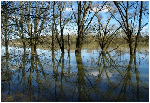 Dans la rubrique poème:Les Paysages