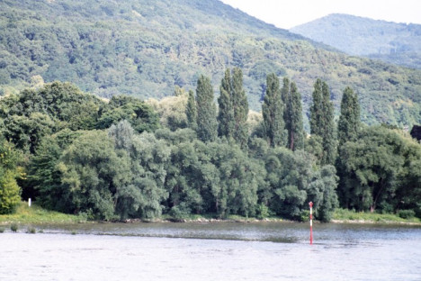 le rhin