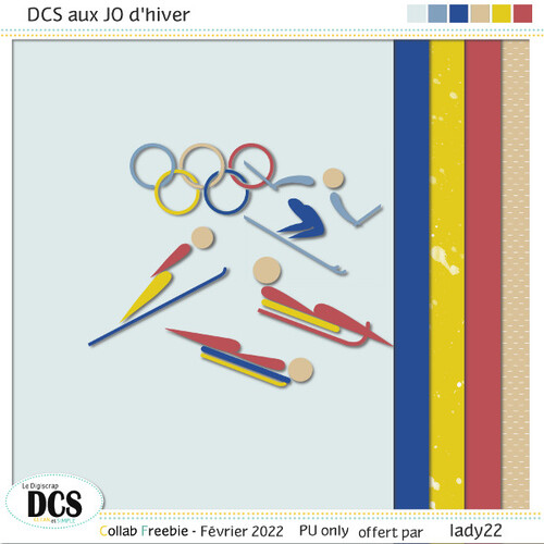 DCS aux JO d'hiver